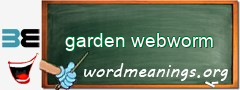 WordMeaning blackboard for garden webworm